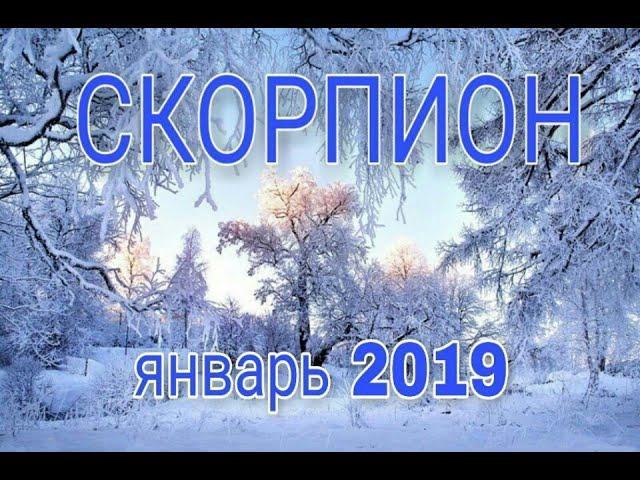 СКОРПИОН  ТАРО ПРОГНОЗ на ЯНВАРЬ 2019 года .