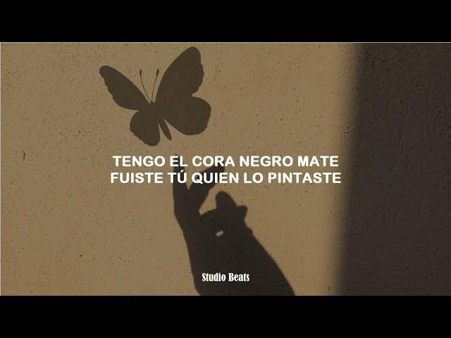 Micro TDH | NEGRO MATE (Letra)