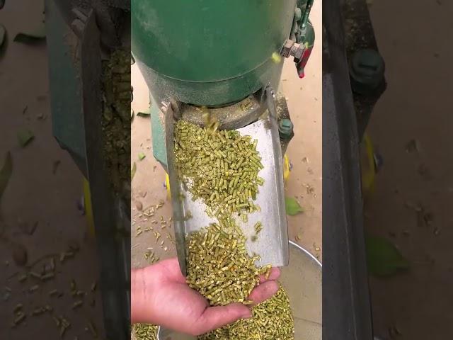 Household two-phase electricity 200 kg per hour cattle, sheep and pig breeding feed pellet machine