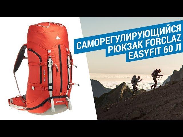 Саморегулирующийся рюкзак для похода / треккинга FORCLAZ EASYFIT 60 Л от QUECHUA |  Декатлон