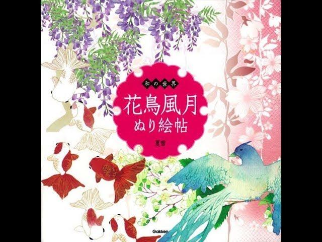 The world's flowers, birds, animals, pattern Coloring Book Japanese Colouring Book