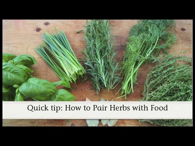 Quick tip: How to Pair Herbs with Food