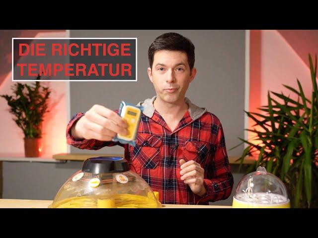 Riesen Temperatur-Unterschiede in Brutmaschinen? Temperatur RICHTIG messen und erfolgreich Brüten!