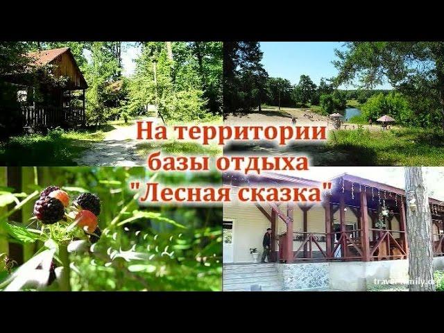 Базы отдыха на речке недалеко от Киева: на территории "Лесной сказки" в Ракитном