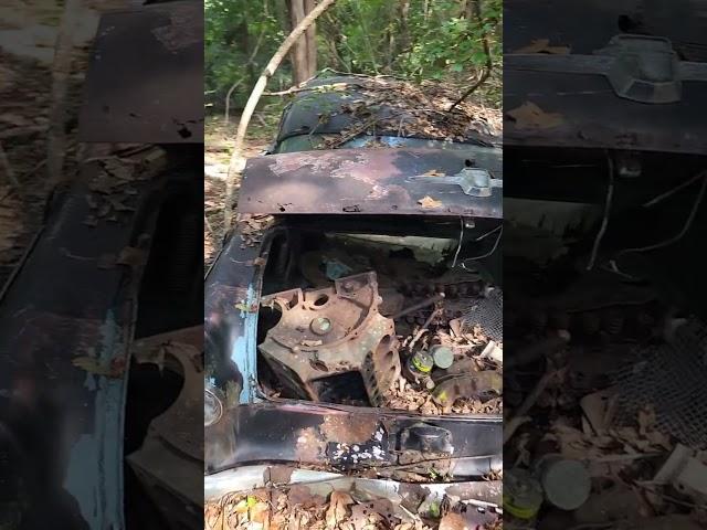 Ford Customline Left to Rot in the Woods #ford #customline #rust #ratrod #hotrod