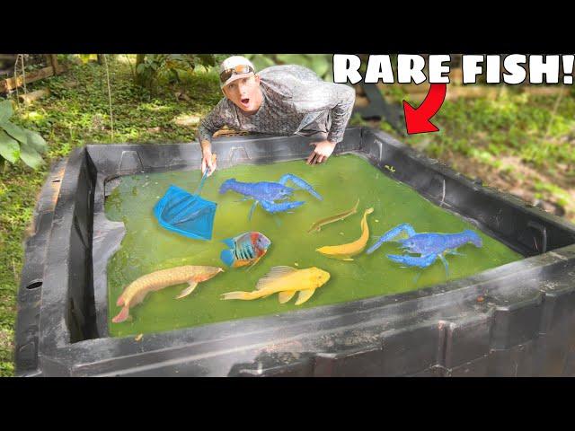 Rare Fish Found LIVING in GREEN SLIME POND!