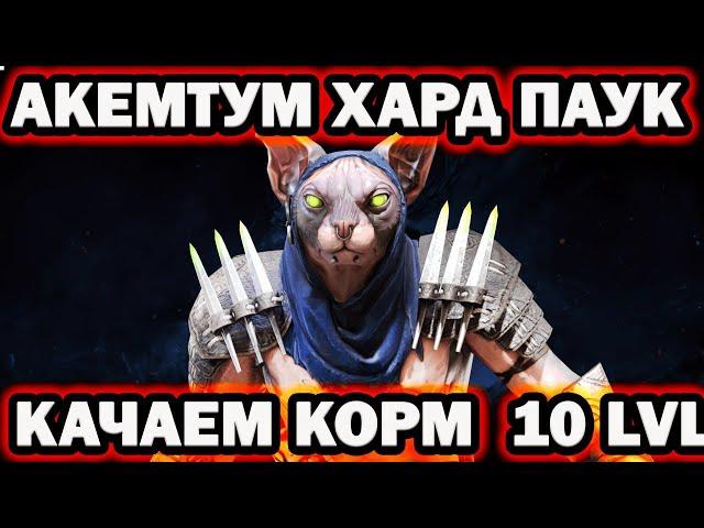 Акемтум КАЧАЙ КОРМ НА ХАРД ПАУКЕ RAID SHADOW LEGENDS