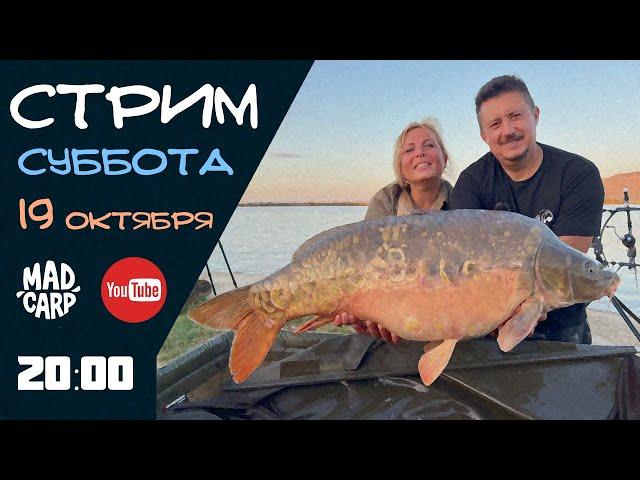 Стрим команды Mad Carp о карпфишинге и не только. Итоги сезона.