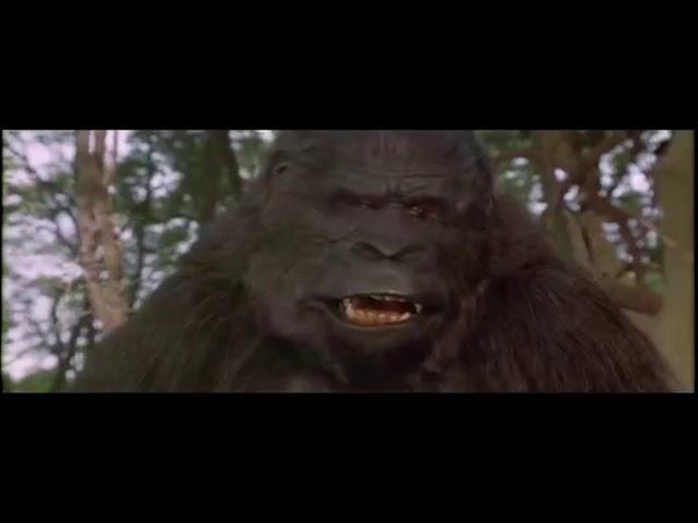 Gorilla Scene Parody