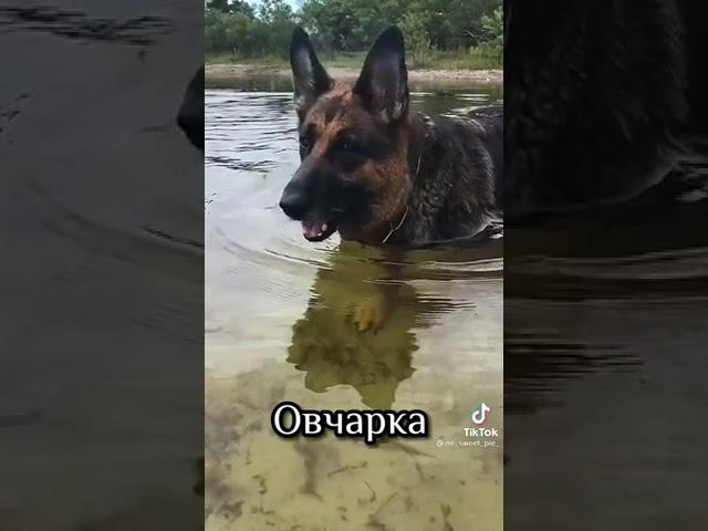 интересненько)