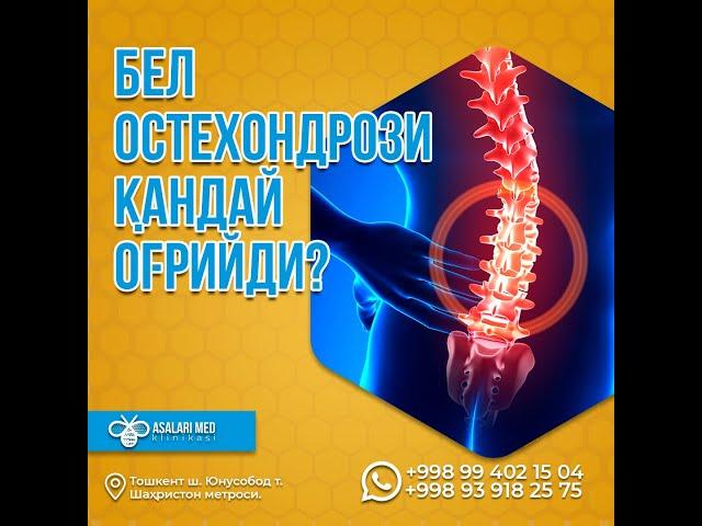 БЕЛ ОСТЕОХОНДРОЗИ ҚАНДАЙ ОҒРИЙДИ? #saidatabiba  #asalarimed #osteochondrosis