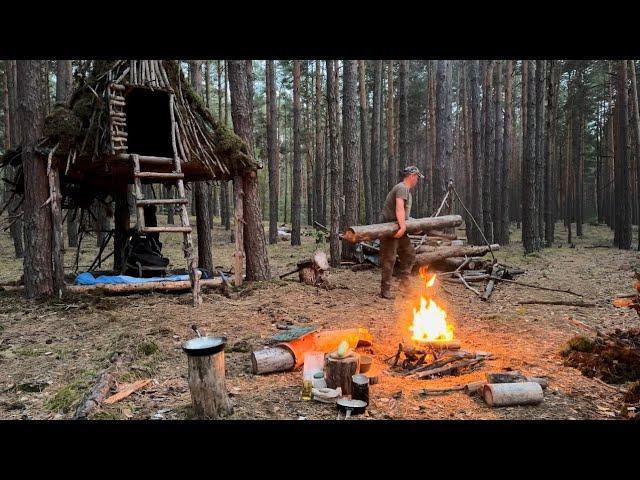 I BUILT a HOUSE for SURVIVAL, but it's destroyed. RESTORING the old thing didn't work out