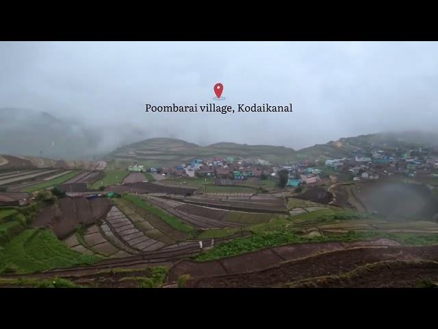 Poombarai village, Kodaikanal | #poombarai #shorts #kodaikanal