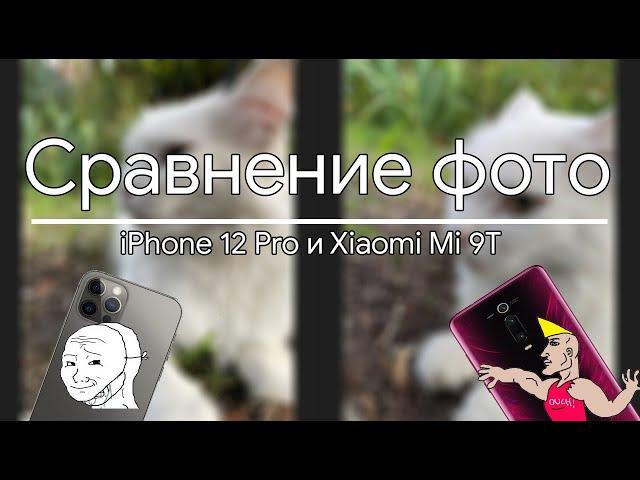 Сравнение камеры iPhone 12 Pro и Xiaomi Mi 9T(GCam) (Телевик/основа)