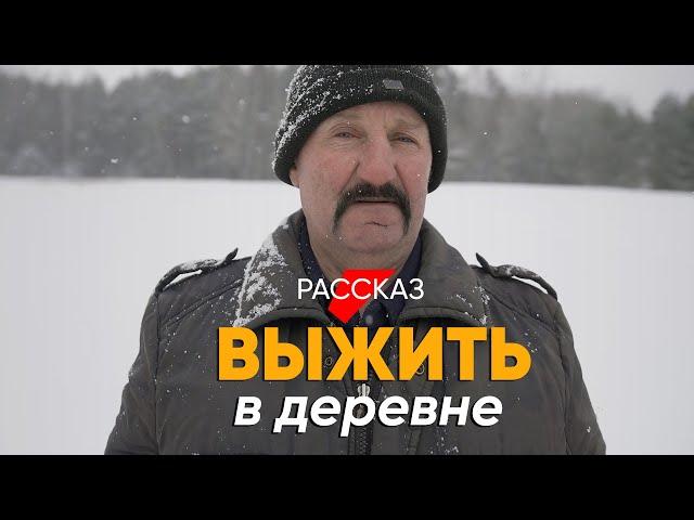 Выжить в деревне: #рассказ про тех, кто зарабатывает сбором молока