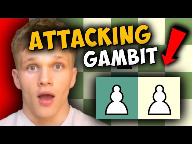 Like Attacking Chess? Play THIS Gambit!