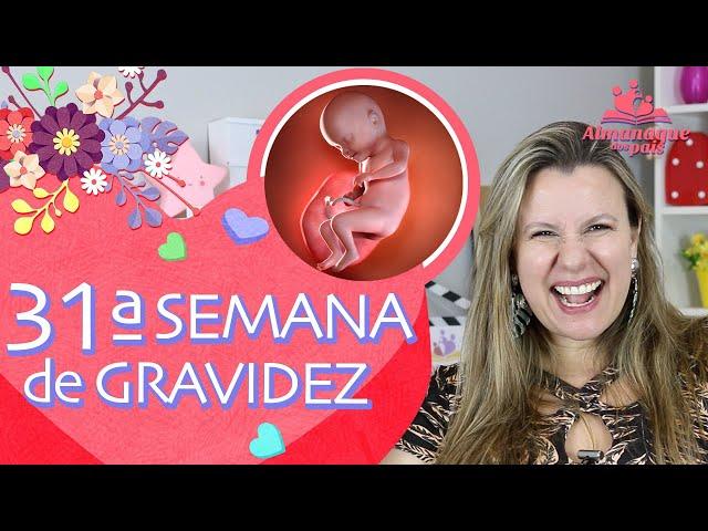 31ª SEMANA DE GESTAÇÃO | 8 Meses, Como está o Bebê, Lavar Roupas do Bebê | 3º TRIMESTRE DE GRAVIDEZ