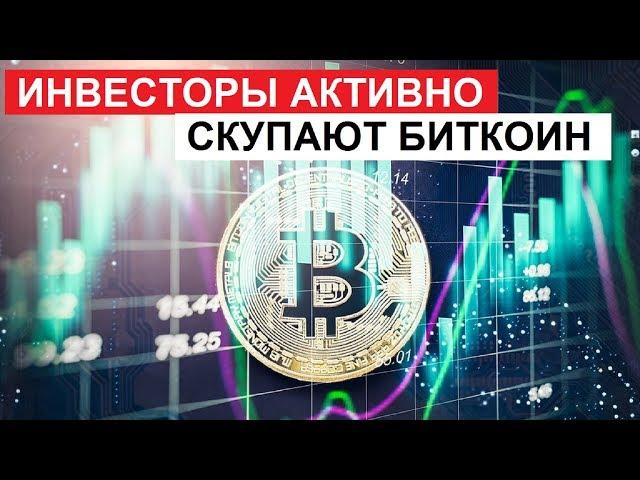 Инвесторы активно скупают Bitcoin | Индекс доминирования Биткоина вырос до 52%