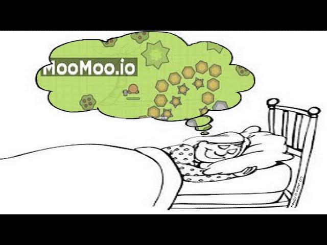 moomoo.io could be a dream