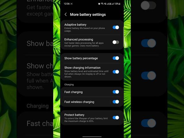 Samsung S21 FE 5G feature - Must turn on this setting If you charge overnight