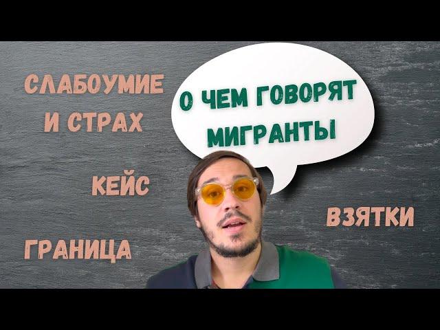 Зеленый коридор и организации - О чем говорят мигранты?