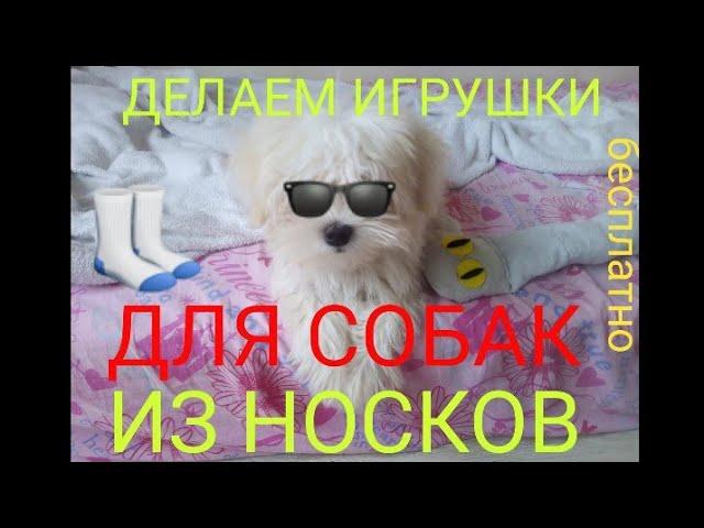 Игрушки для собак из носков