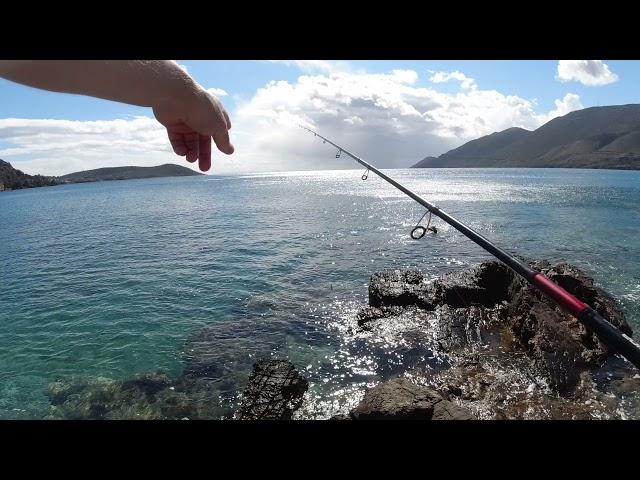 Greece. Peloponnese. Perch on the wobbler from the shore. Fishing in Greece. Mediterranean Sea.