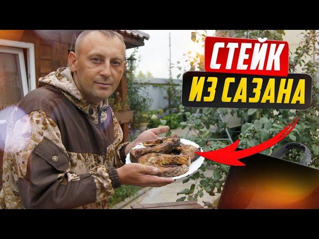 Carp steak, best recipe, grilled fish