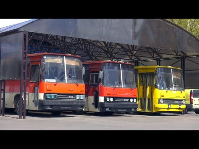 Икарус 256 по цене металлолома - забрали комплектный автобус Ikarus 256 из-под пресса