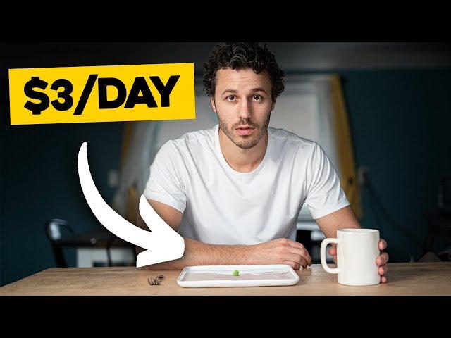 How To Eat For $3 A Day (Frugal Meal Challenge)