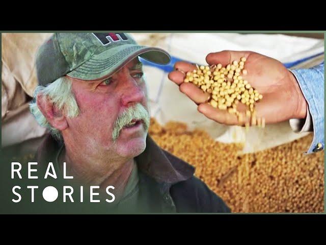 The Farmer Who Took On Monsanto (David Vs. Goliath Documentary) | Real Stories