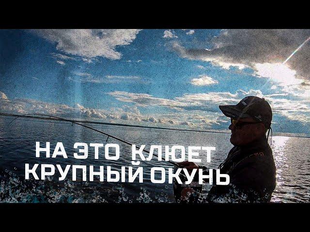 ВОБЛЕР или ДЖИГ!? На что клюет КРУПНЫЙ ОКУНЬ!