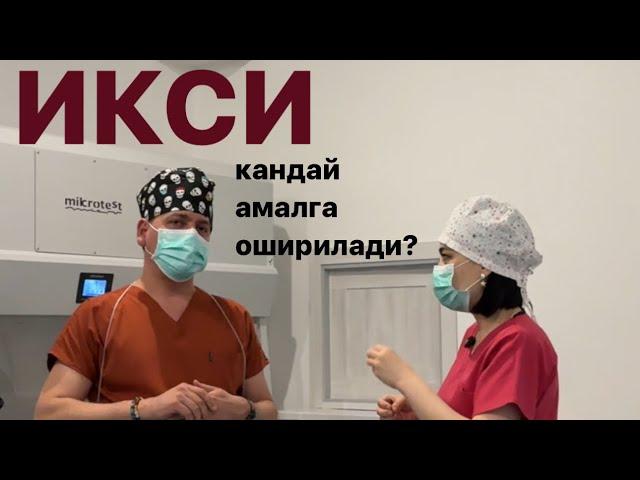 ИКСИ (эко): тухум хужайра ва уруг хужайра кандай уругланади?