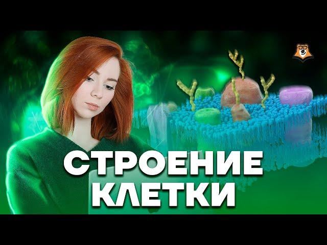 Строение клетки | Биология ЕГЭ 2023 | Умскул