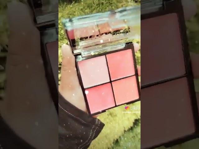 Technic matte mega blush palette