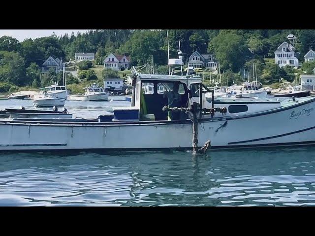 Lobsterman pulls up piece of Penobscot Bay's maritime history in Stonington