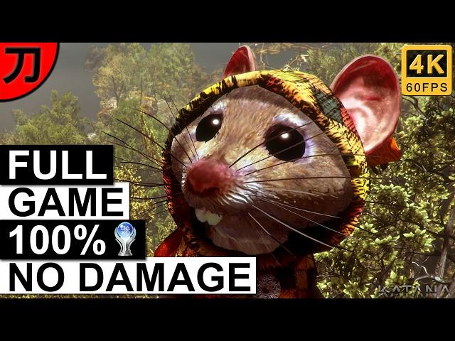 Ghost of a Tale 100% Walkthrough Longplay | No Damage