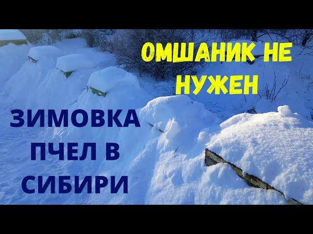 ЗИМОВКА ПЧЕЛ В СИБИРИ ПОД СНЕГОМ | И НЕ НУЖЕН ОМШАНИК!