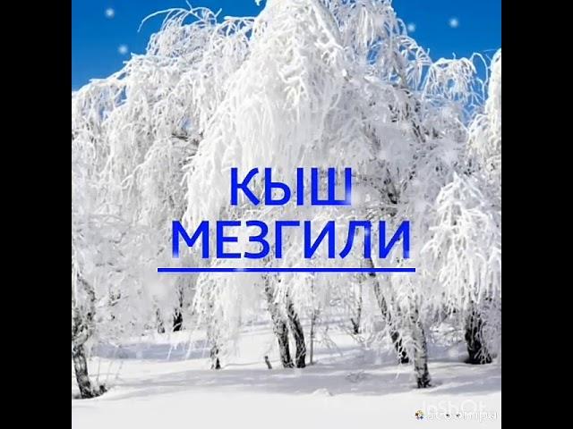 Кыш мезгили.