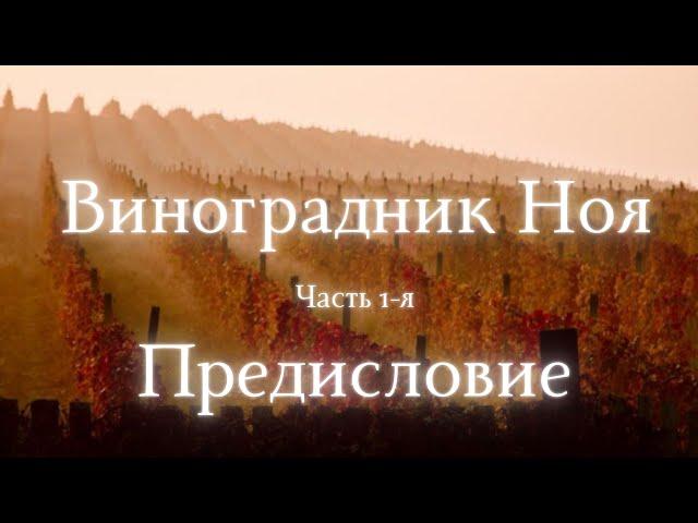 Рассуждение о грехе Ноаха. Предисловие - Часть 1-я. Раввин Реувен Смолькин.