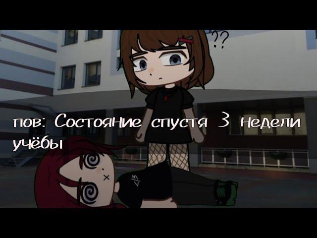 Пов: состояние спустя 3 недели учёбы meme