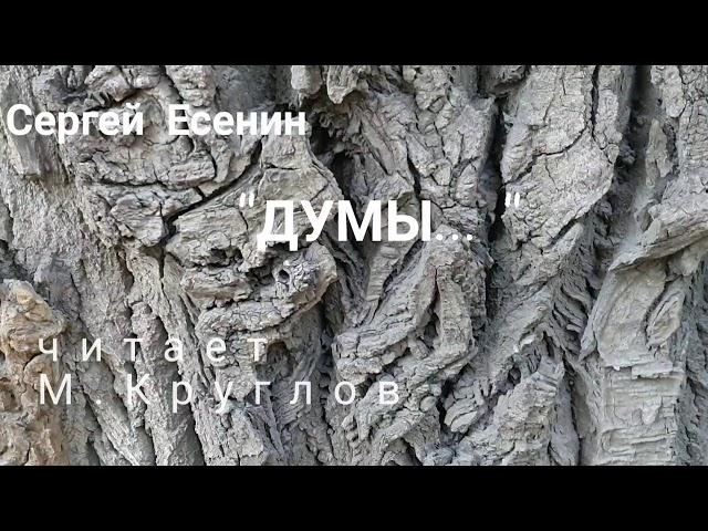 С.Есенин "ДУМЫ" читает М.Круглов