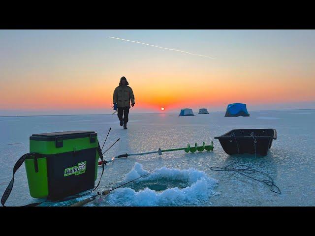 ДВЕ НОЧИ НА ЛЬДУ! ЭТОТ ТРОФЕЙ ЕЛЕ ВЛЕЗ В ЛУНКУ! Как мы чуть не замерзли на рыбалки! Рыбалка 1января