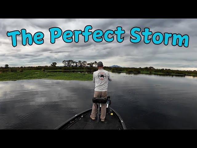 Fishing the Perfect Storm. Strategies for planning and fishing through the front.