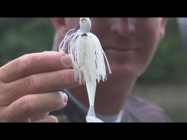 Summer Swim Jig Fishing: Tips and Techniques That Work! | Bass Fishing