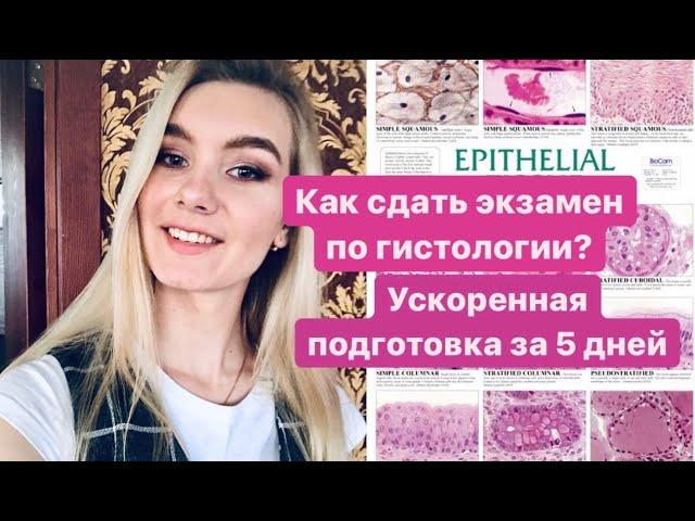 КАК ПОДГОТОВИТЬСЯ К ЭКЗАМЕНУ ПО ГИСТОЛОГИИ С НУЛЯ ЗА 5 ДНЕЙ?// Как выучить гистологию в медицинском?