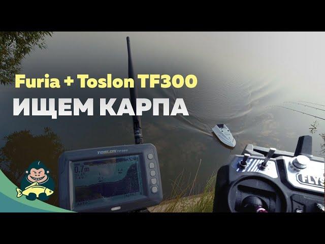 Ловля карпа на дикаре, поиск рыбы с эхолотом Toslon TF300. Завоз зиг-риг корабликом Furia.