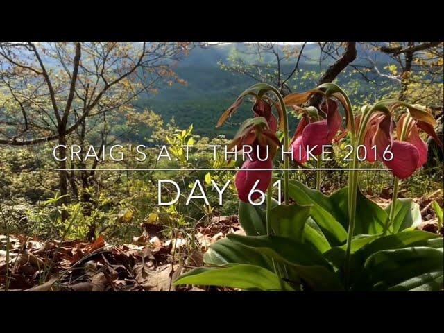 Craig's Appalachian Trail Thru Hike 2016: Day 61