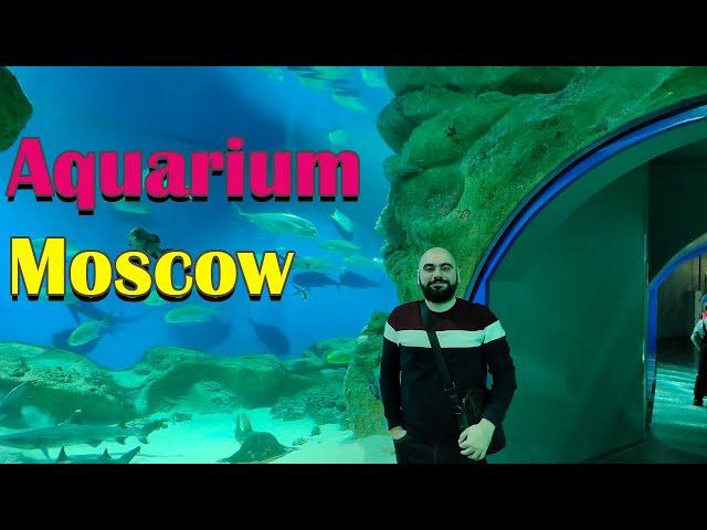 The best aquarium to see in Moscow  – beautiful fishes – One of The biggest Aquarium in the world