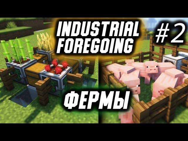 Гайд по Industrial Foregoing 1.16.5 #2 Фермы (minecraft java edition /майнкрафт джава)